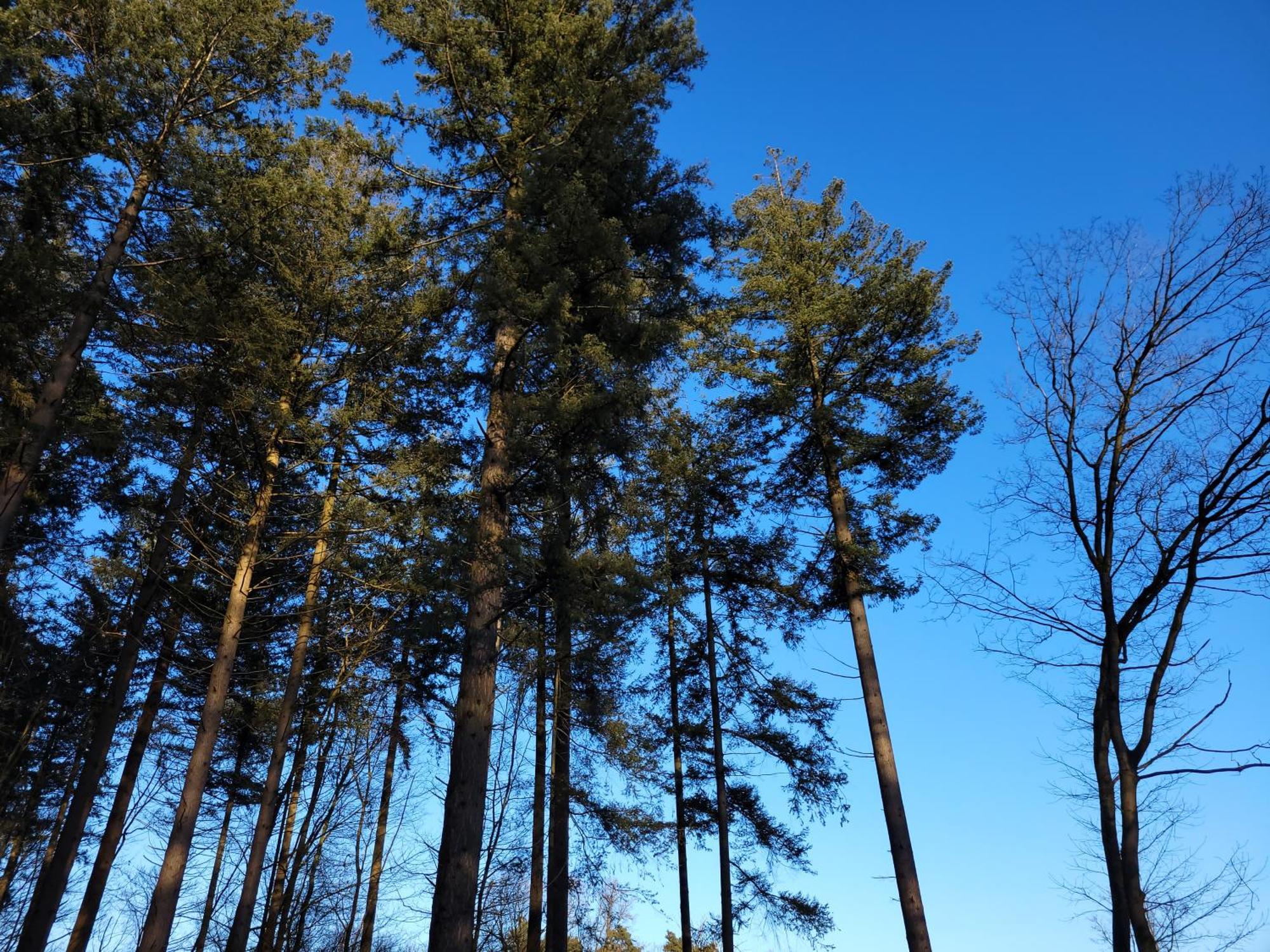 Secret Wellness Puur Natuur Holten Exterior photo