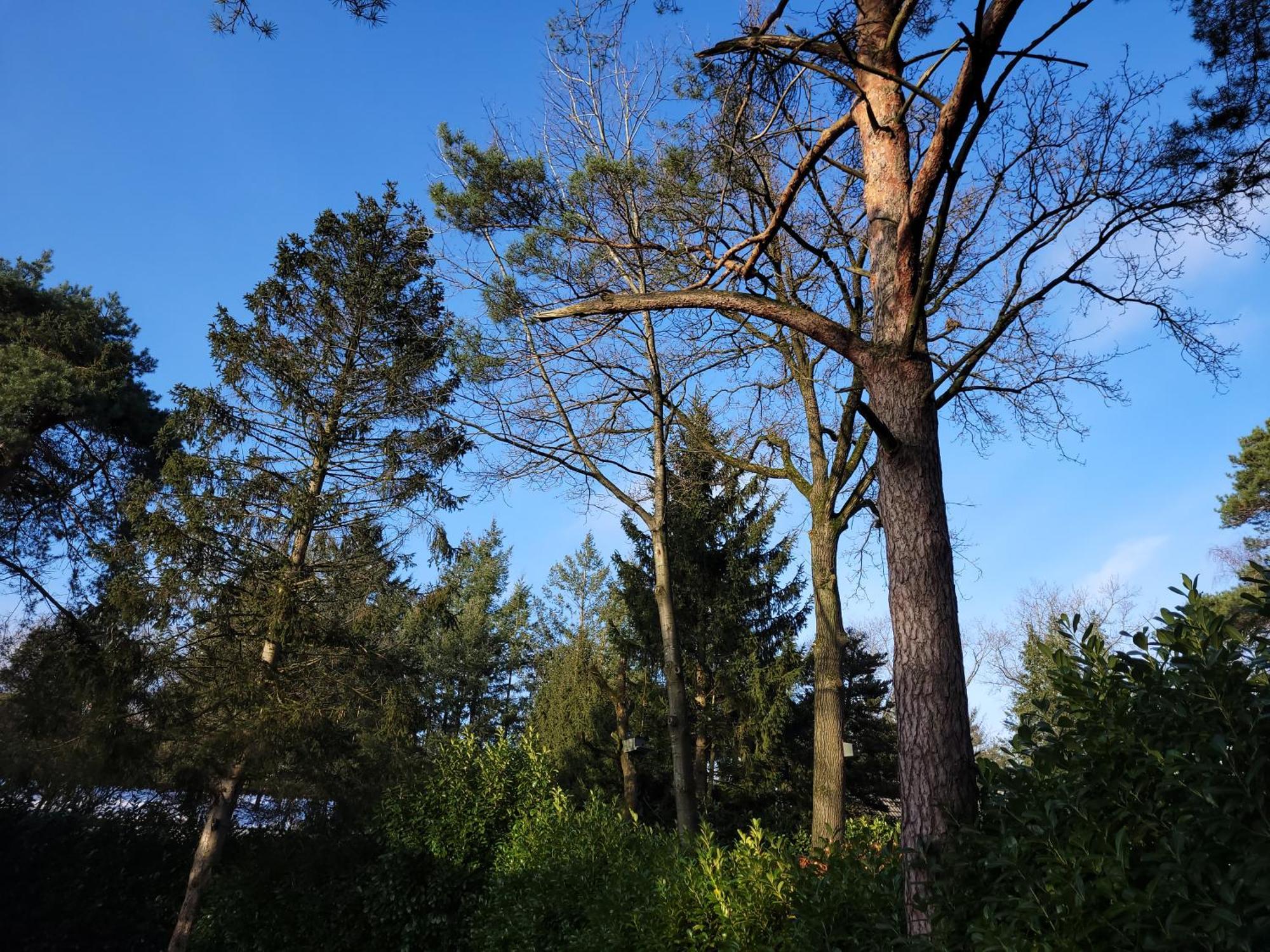 Secret Wellness Puur Natuur Holten Exterior photo